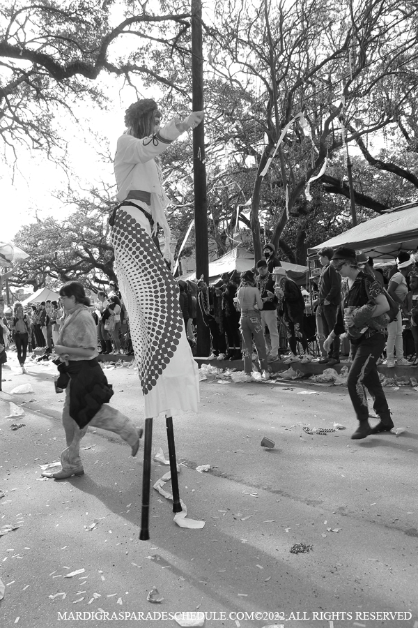 Box-of-Wine-00019-2022