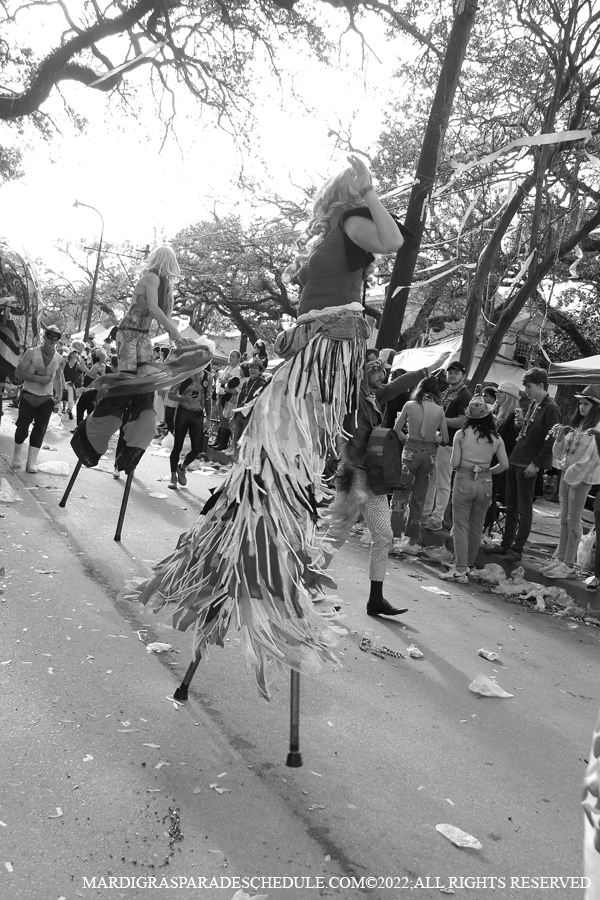 Box-of-Wine-00021-2022