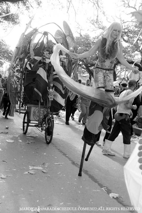 Box-of-Wine-00023-2022