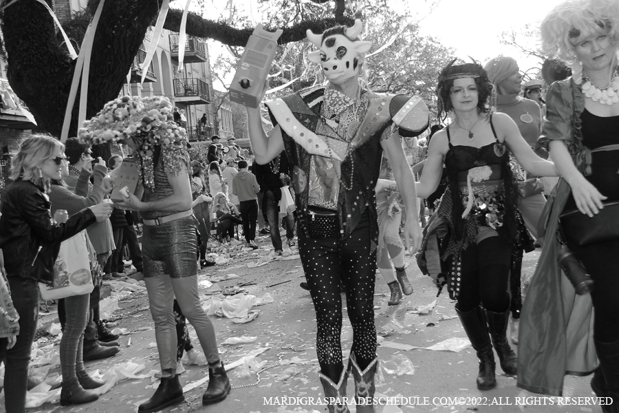 Box-of-Wine-00025-2022