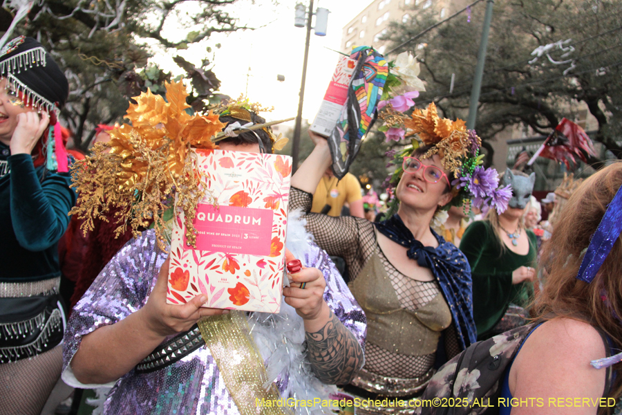 Box-of-Wine-2025-2124