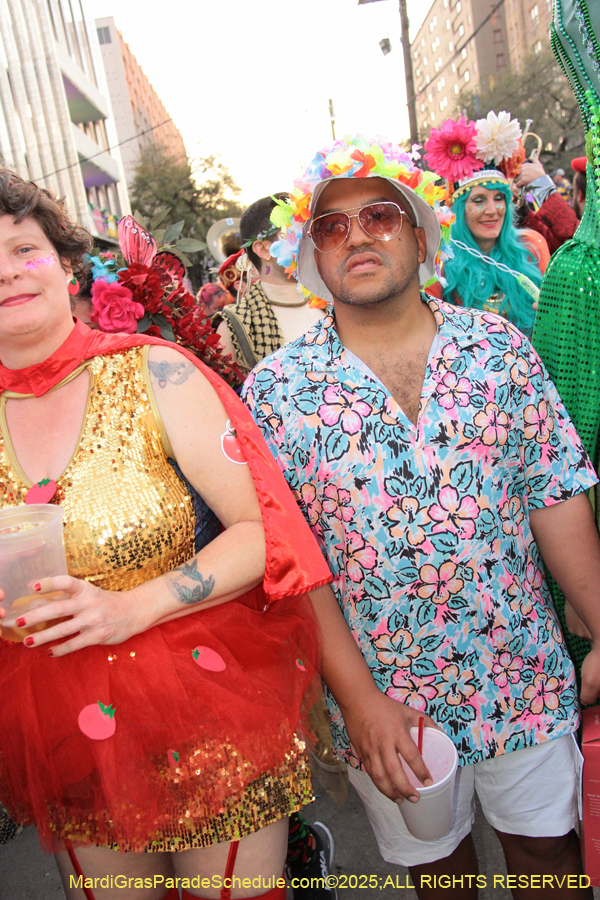 Box-of-Wine-2025-2170