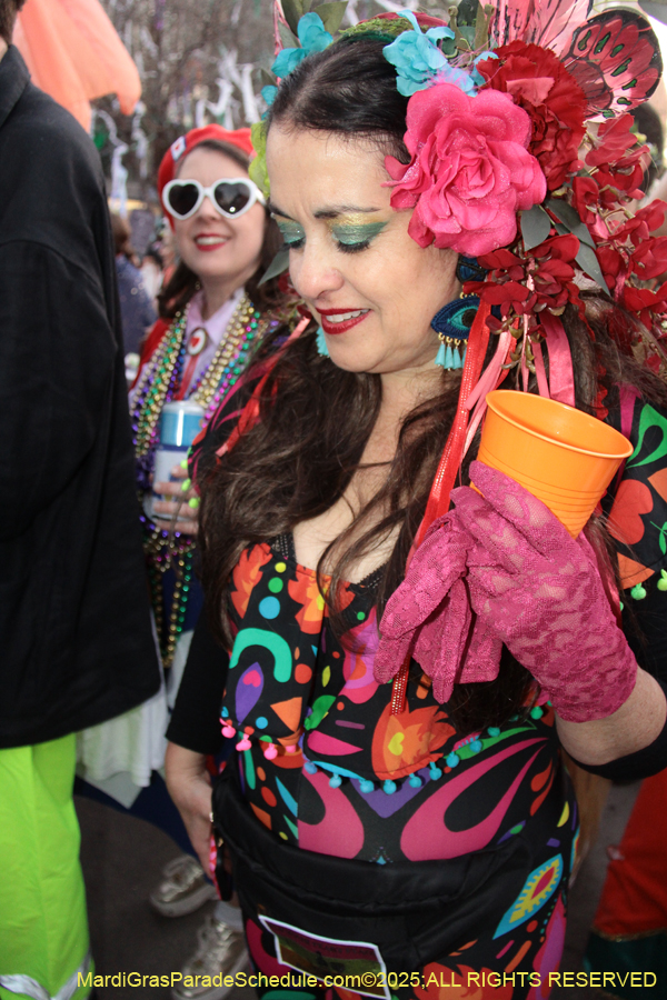 Box-of-Wine-2025-2176