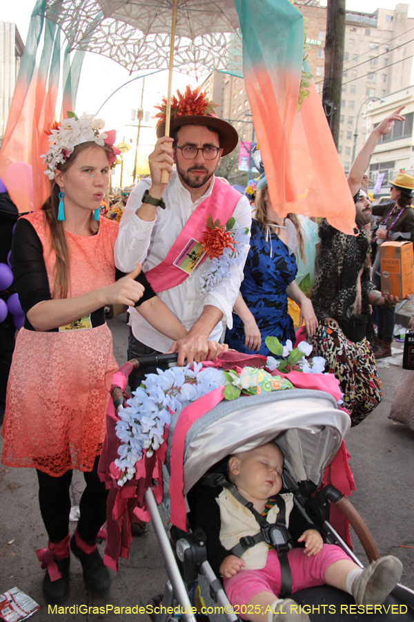 Box-of-Wine-2025-2190