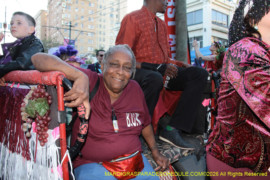 Box-of-Wine-2026-9534