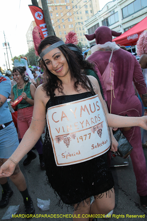 Box-of-Wine-2026-9624