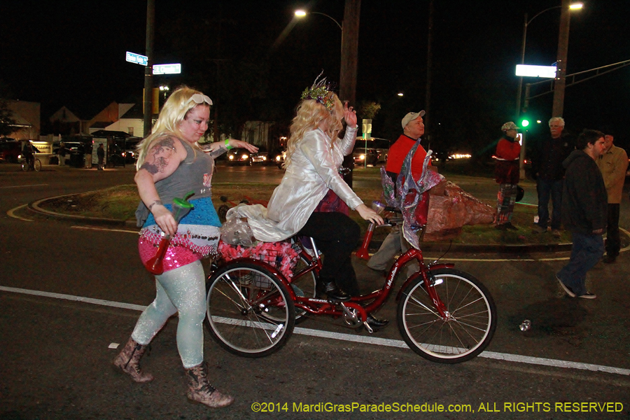 2014-Krewe-of-Chewbacchus11112