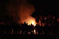 2016-Krewe-of-Chewbacchus-003189