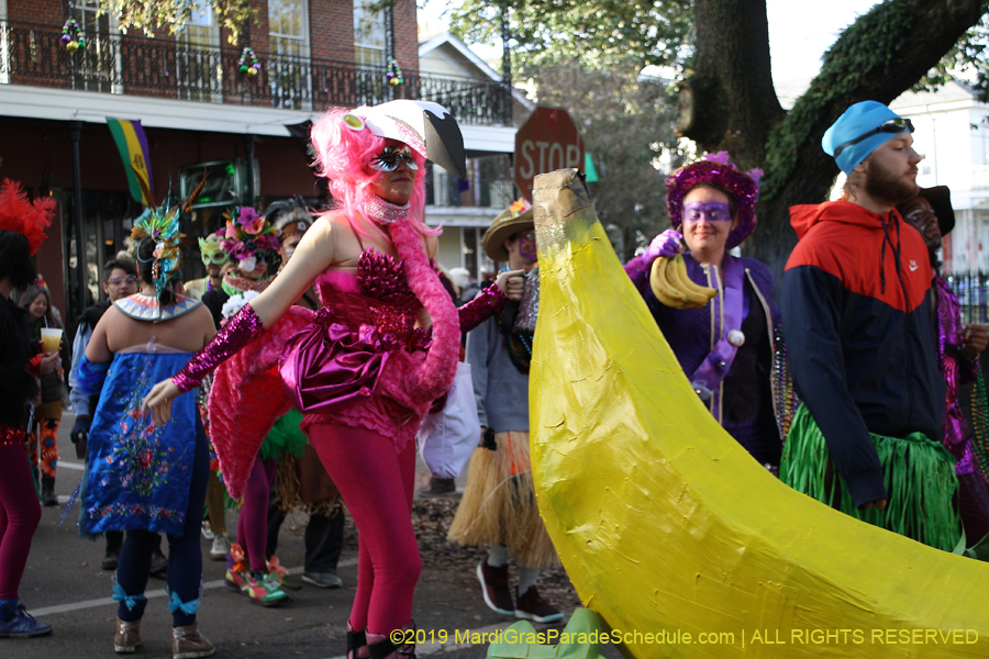 Mondo-Kayo-NC-2019-011341