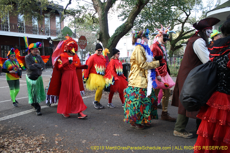 Mondo-Kayo-NC-2019-011352