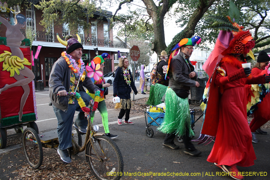 Mondo-Kayo-NC-2019-011353