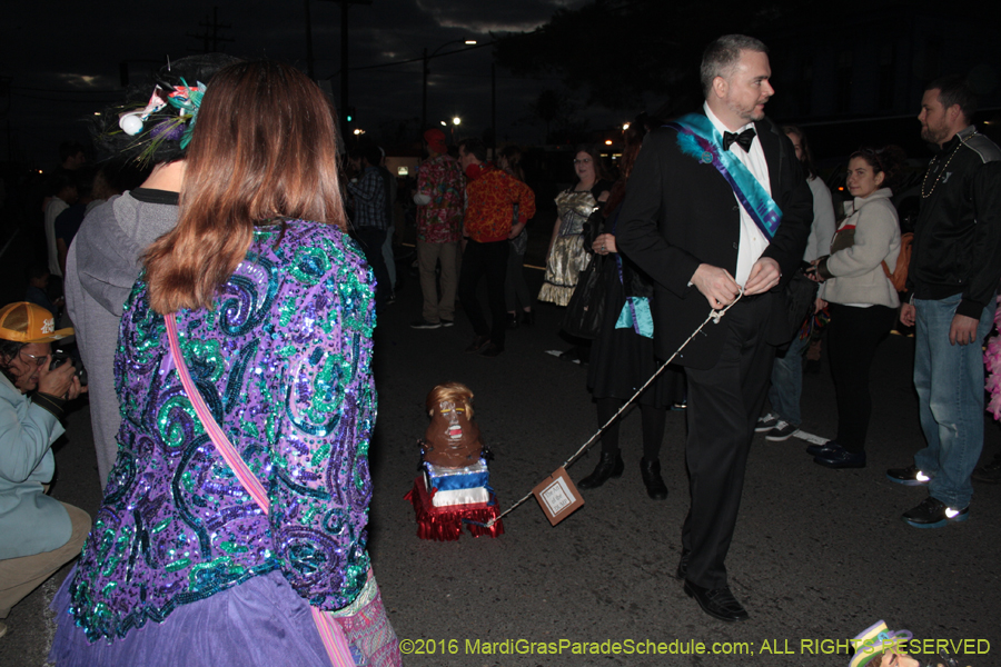 2016-tit-Rex-NC-015738