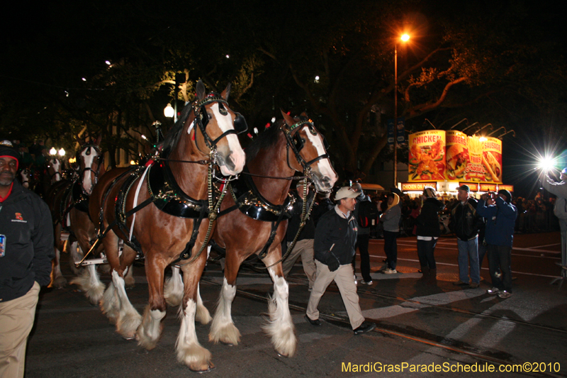 New-Orleans-Saints-World-Championship-Parade-5295