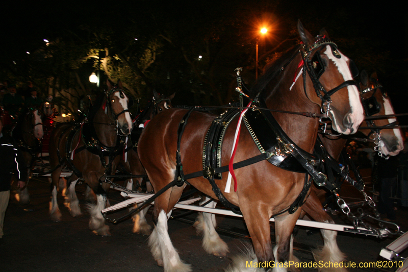 New-Orleans-Saints-World-Championship-Parade-5296