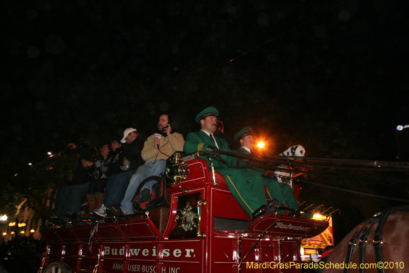 New-Orleans-Saints-World-Championship-Parade-5297