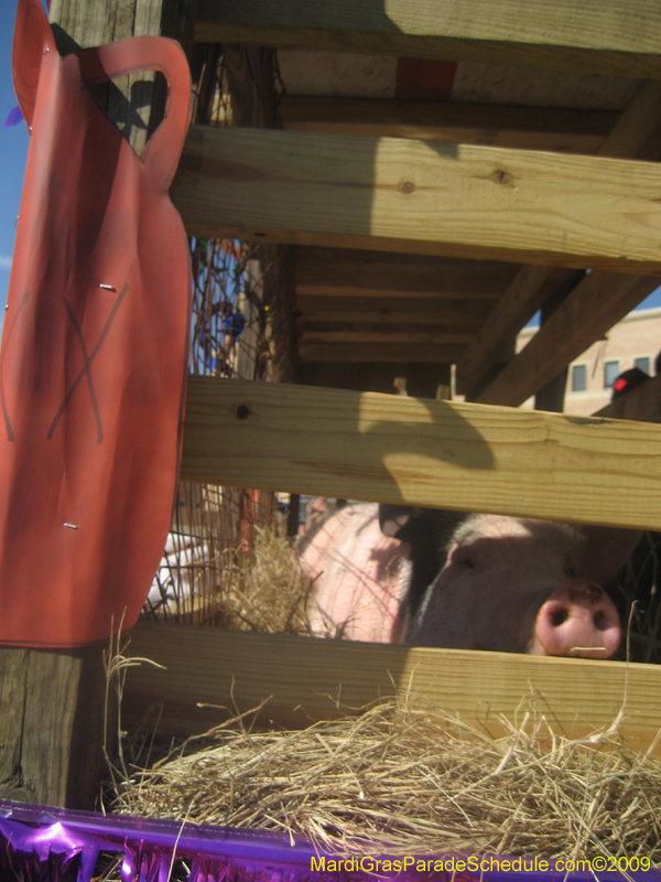 2009-Covington-Lions-Club-Mardi-Gras-Covington-Louisiana-1042