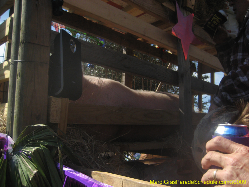 2009-Covington-Lions-Club-Mardi-Gras-Covington-Louisiana-1043