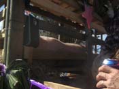 2009-Covington-Lions-Club-Mardi-Gras-Covington-Louisiana-1043