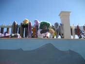 Covington-Lions-Club-Krewe-of-Covington-Mardi-Gras-Day-124