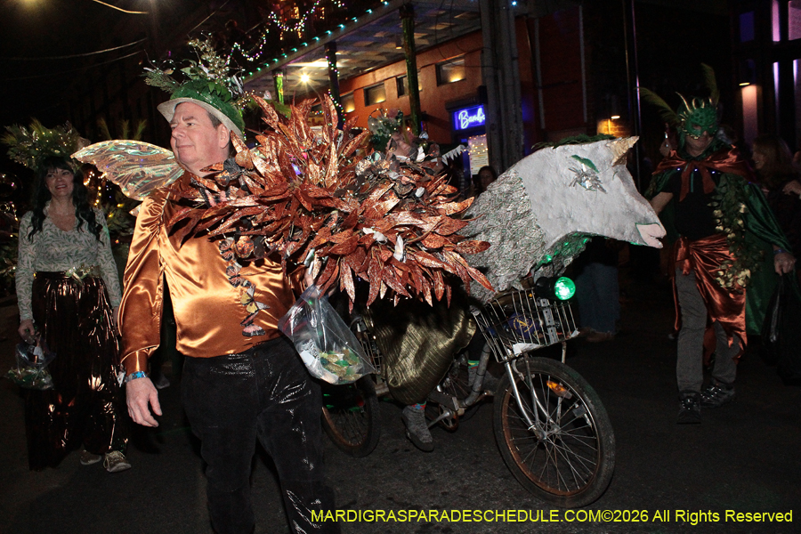 Les-Fous-Du-Carnaval-2026-0653