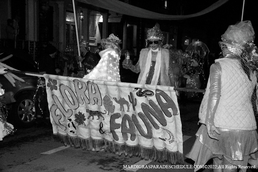 Les-Fous-du-Carnaval-00100-2022