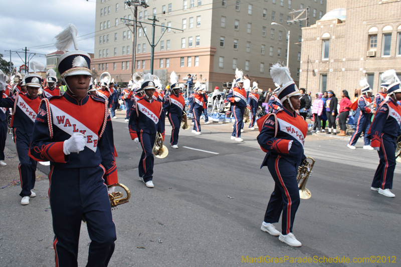 Krewe-of-NOMTOC-2012-0064