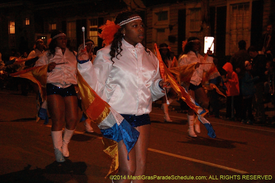 2014-Mystic-Krewe-of-Nyx-11087