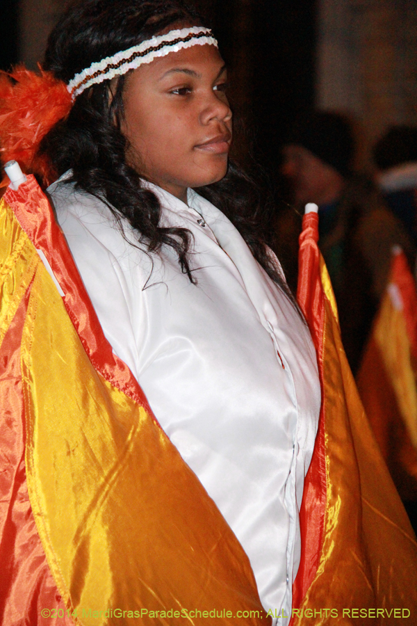 2014-Mystic-Krewe-of-Nyx-11089