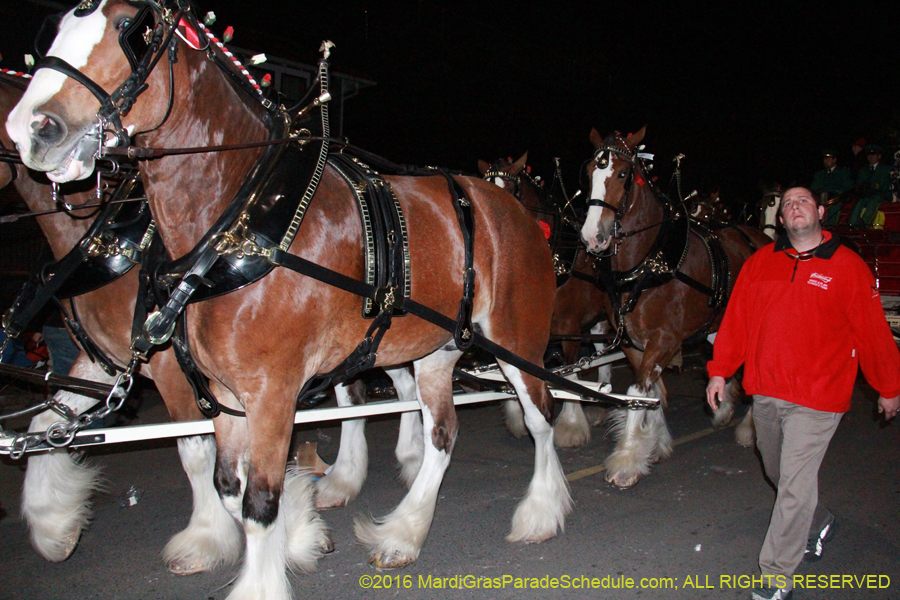 2016-Mystic-Krewe-of-Nyx-006379