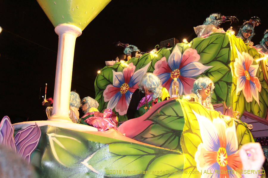2018-Krewe-of-Nyx-00003492