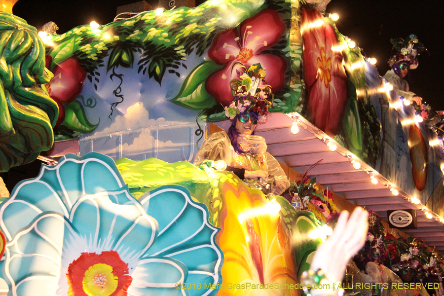 2018-Krewe-of-Nyx-00003524