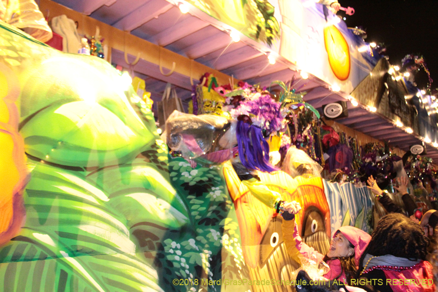 2018-Krewe-of-Nyx-00003525