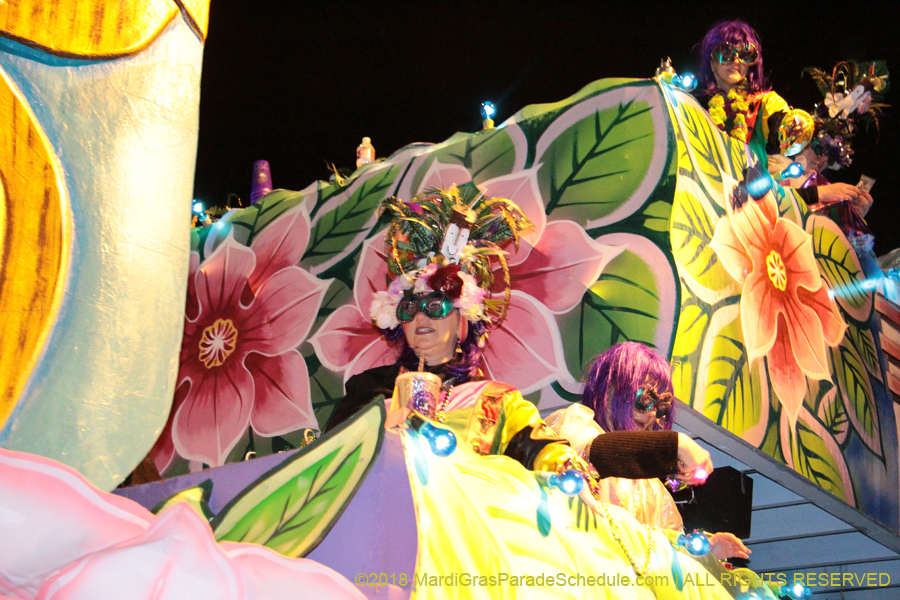 2018-Krewe-of-Nyx-00003529