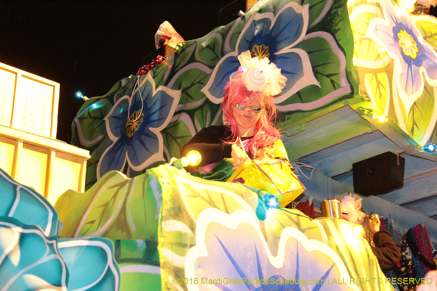2018-Krewe-of-Nyx-00003537