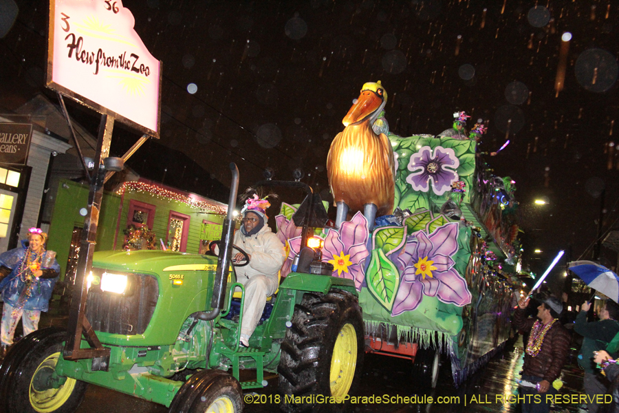 2018-Krewe-of-Nyx-00003799