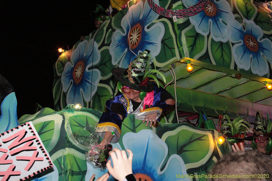 Mystic-Krewe-of-Nyx-2020-04421