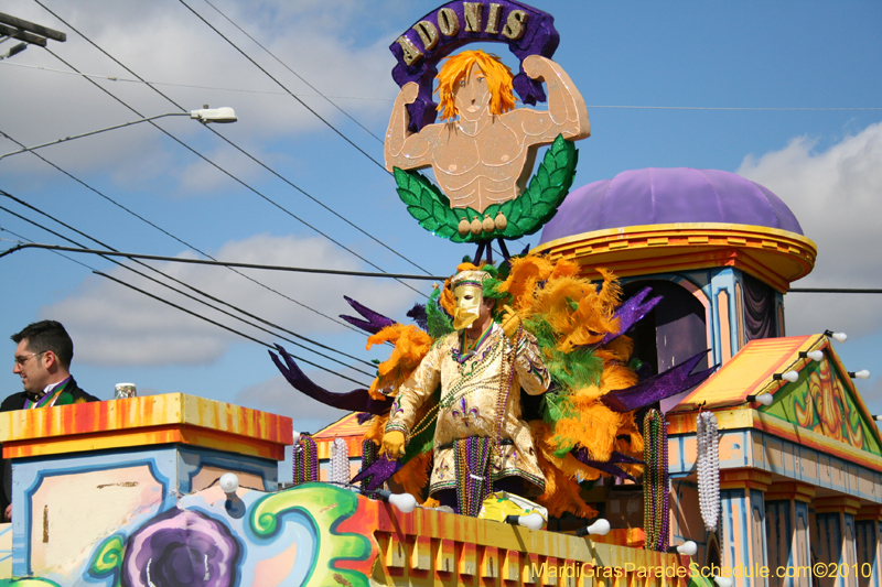 Mystic-Knights-of-Adonis-2010-Mardi-Gras-Westbank-3207