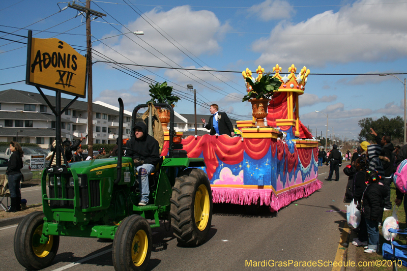 Mystic-Knights-of-Adonis-2010-Mardi-Gras-Westbank-3220
