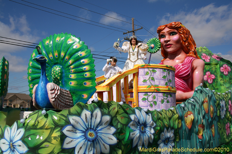 Mystic-Knights-of-Adonis-2010-Mardi-Gras-Westbank-3224