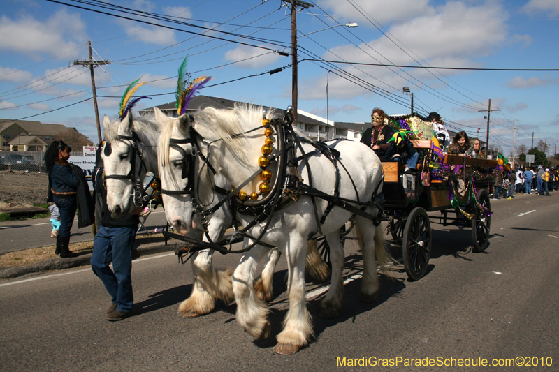 Mystic-Knights-of-Adonis-2010-Mardi-Gras-Westbank-3243