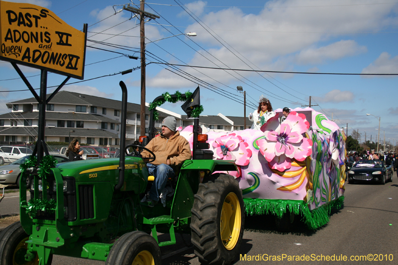 Mystic-Knights-of-Adonis-2010-Mardi-Gras-Westbank-3246