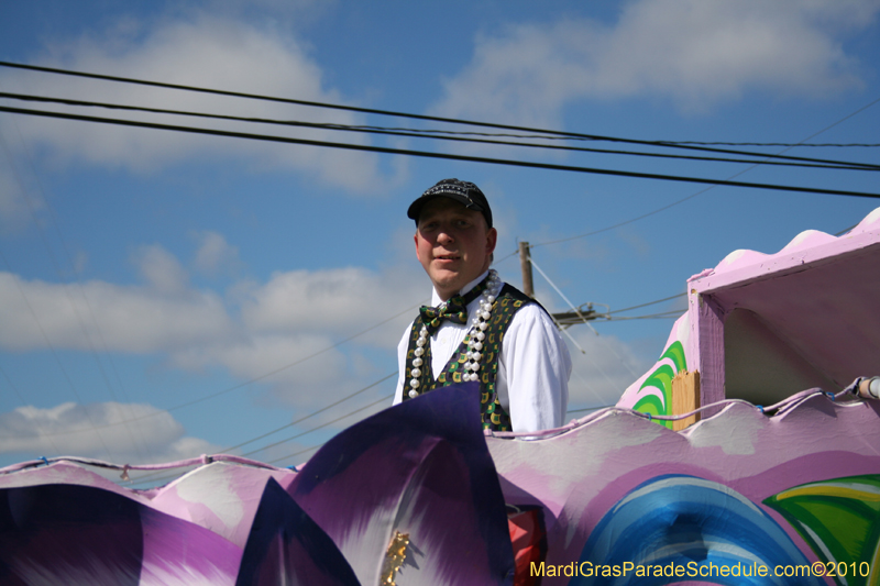 Mystic-Knights-of-Adonis-2010-Mardi-Gras-Westbank-3248