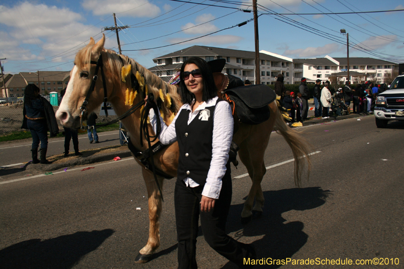 Mystic-Knights-of-Adonis-2010-Mardi-Gras-Westbank-3336