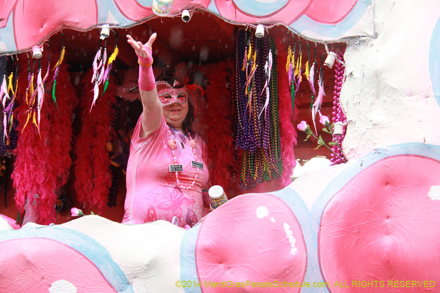 2014-Krewe-of-Alla-11073