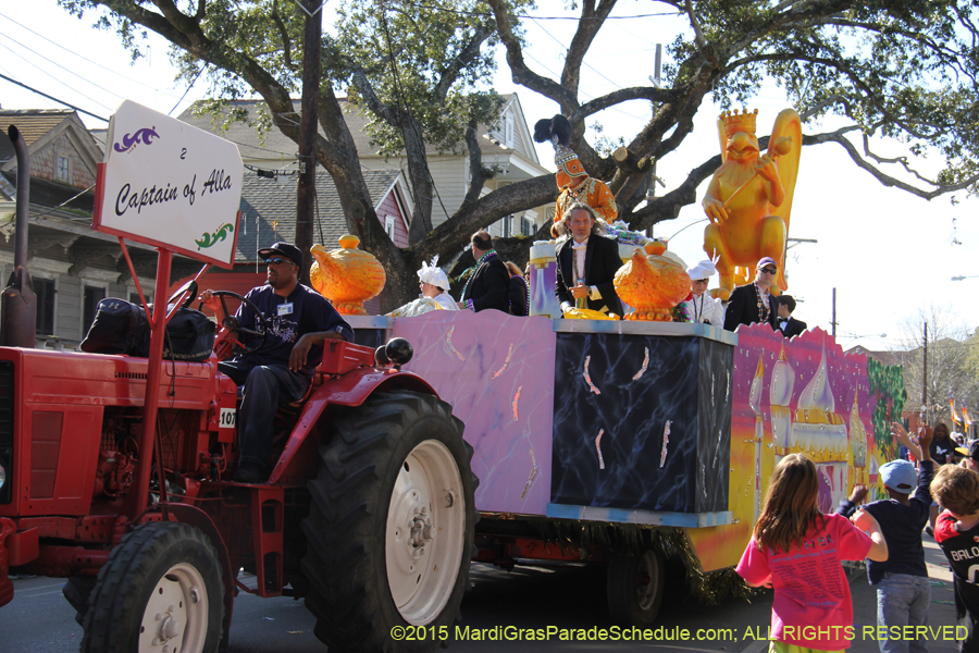 Krewe-of-Allar-2015-12470