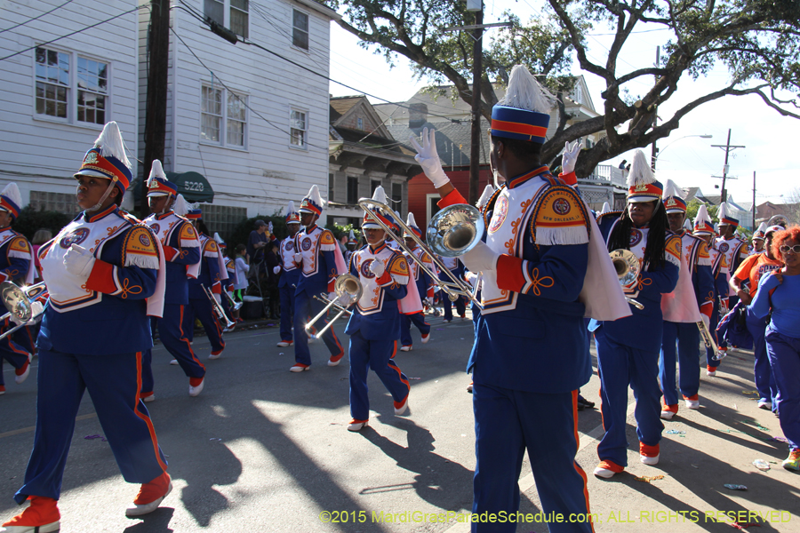Krewe-of-Allar-2015-12475