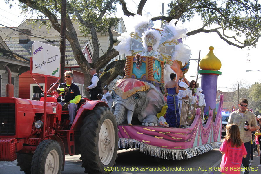 Krewe-of-Allar-2015-12481