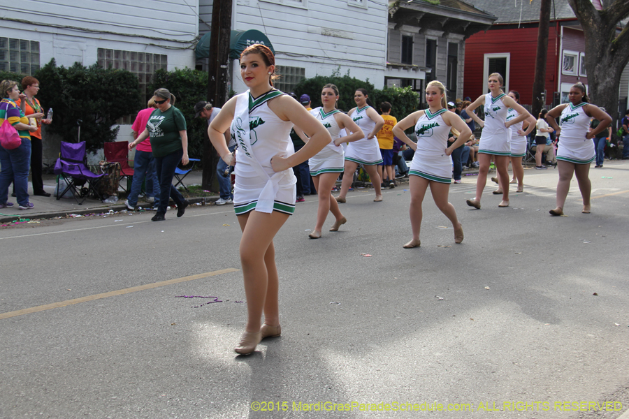 Krewe-of-Allar-2015-12503