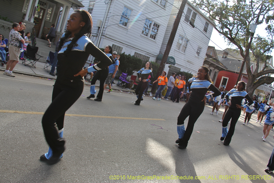 Krewe-of-Allar-2015-12519