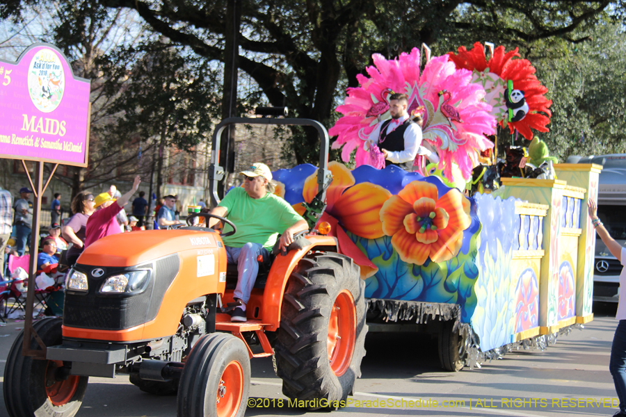 2018-Krewe-of-Alla-00003192